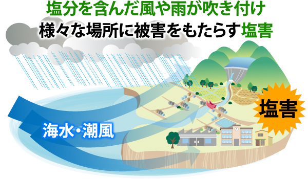 塩分を含んだ風や雨が吹き付け様々な場所に被害をもたらす塩害