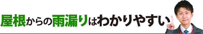 屋根からの雨漏りはわかりやすい