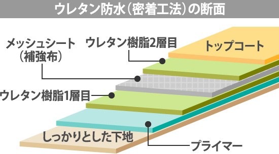 ウレタン防水（密着工法）の断面