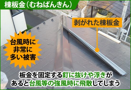 棟板金の釘が抜けや浮きで台風で飛散