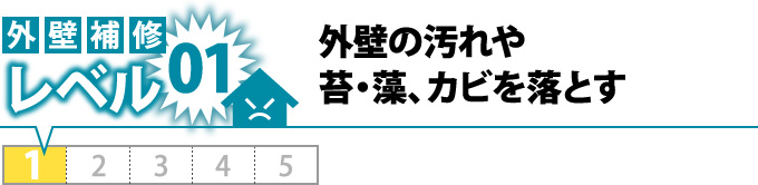 外壁の汚れや苔・藻、カビを落とす