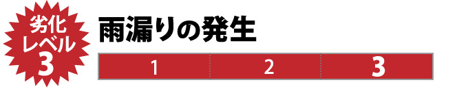 劣化レベル3：雨漏りの発生