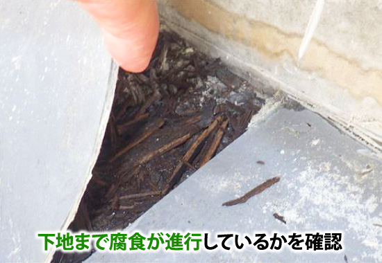 下地まで腐食が進行しているかを確認