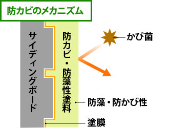 防カビのメカニズムの図