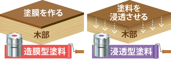 造膜型塗料と浸透型塗料の違い