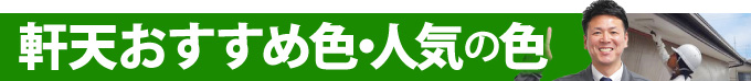 軒天おすすめ色・人気の色