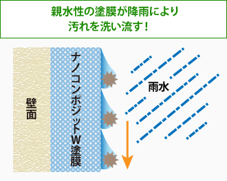 親水性の塗膜が降雨により汚れを洗い流す！