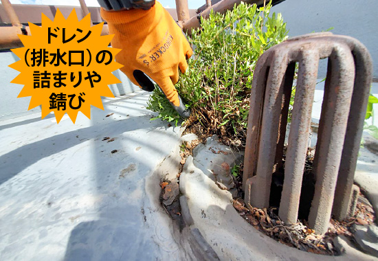 ドレン（排水口）の詰まりや錆び