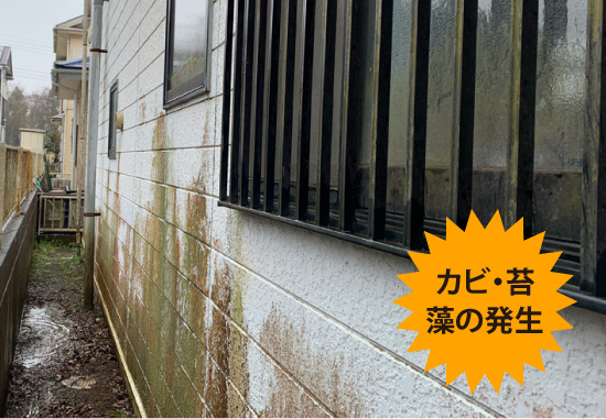 カビ・苔・藻の発生
