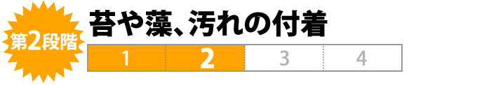 苔や藻、汚れの付着