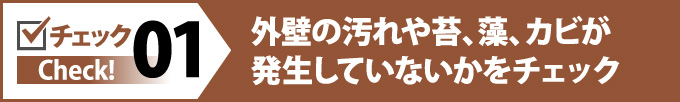 外壁の汚れや苔、藻、カビが発生していないかをチェック