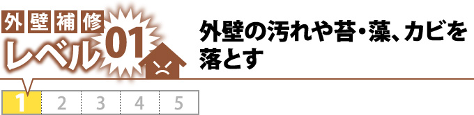 外壁の汚れや苔・藻、カビを落とす