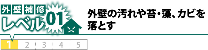 外壁の汚れや苔・藻、カビを落とす