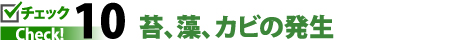 チェック１０苔、藻、カビの発生