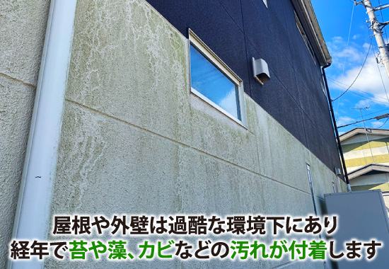 屋根や外壁は過酷な環境下にあり、経年で苔や藻、カビなどの汚れが付着します