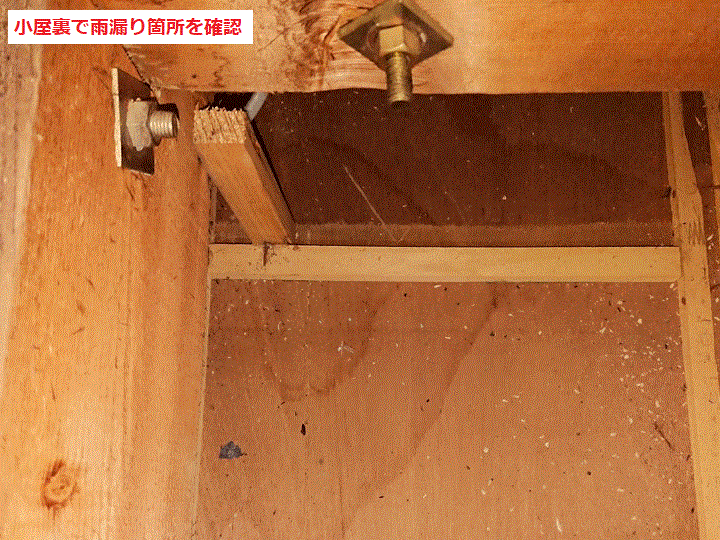 小屋裏　雨漏り箇所