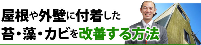 屋根や外壁に付着した苔・藻・カビを改善する方法