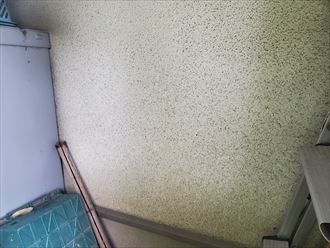 モルタル外壁の防水性が低下し苔が発生