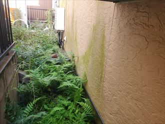 サイディング外壁の防水性が低下し苔が発生
