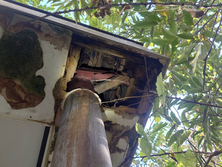 剥がれた軒天を放置することで生まれるリスク