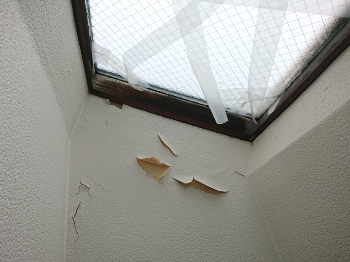 天窓からの雨漏りで起こりやすい症状