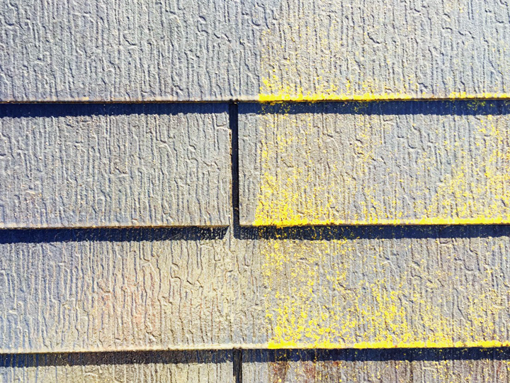 スレート屋根に生えた苔