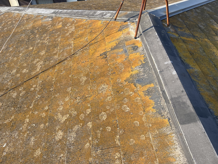 屋根の中でも、北側や日陰になりやすい部分はカビが発生しやすい傾向があります