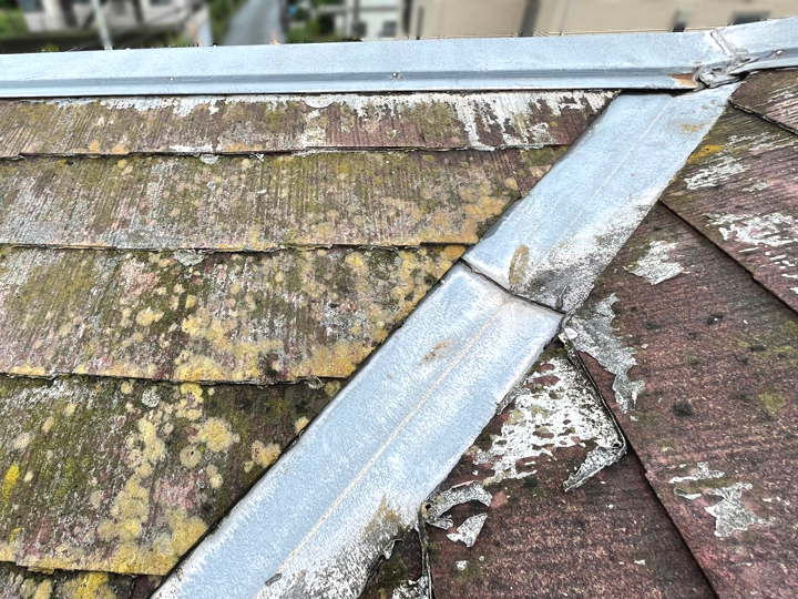 カビや苔が生えることでお住まいの印象が変わってしまいます