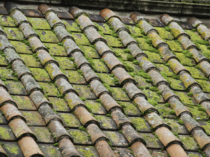 苔が生えた洋瓦の屋根