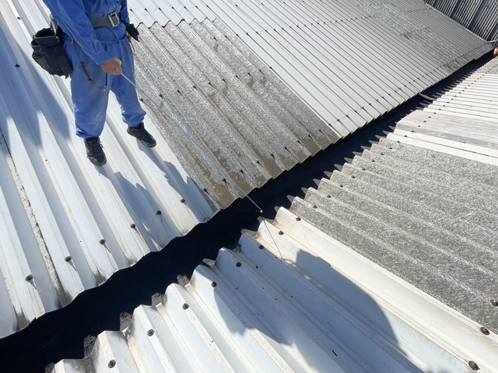 折板屋根調査の様子