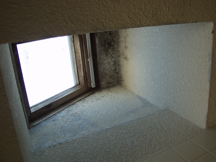 トップライト（天窓）からの雨漏り