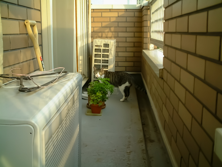 ベランダの腰壁は雨漏りが起こりやすい部分でもあるので、定期的な点検とメンテナンスを心がけましょう！