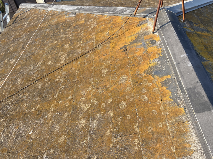 スレート屋根に生えた苔