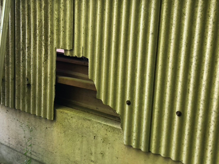 波板スレートに苔やカビが発生しているときはメンテナンスが必要です