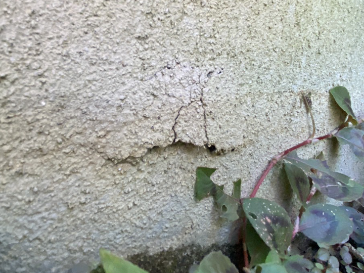 モルタル外壁のひび割れが原因で雨漏りが起こることもある