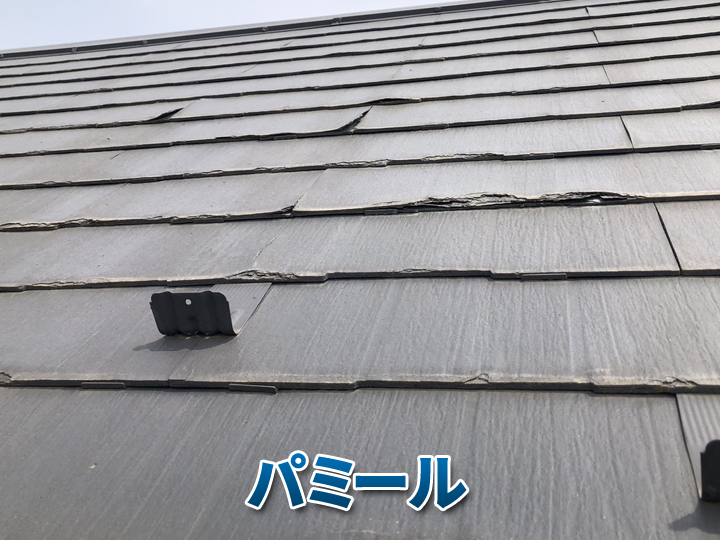 ニチハのパミール