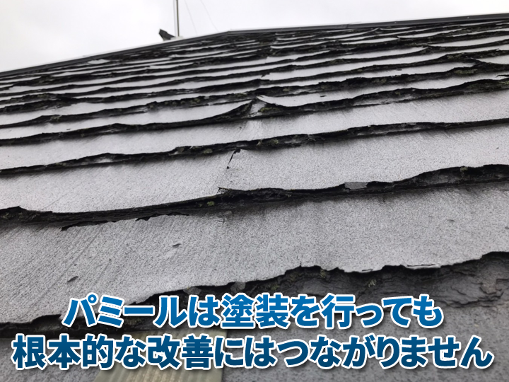 パミールは塗装を行っても根本的な改善にはつながりません