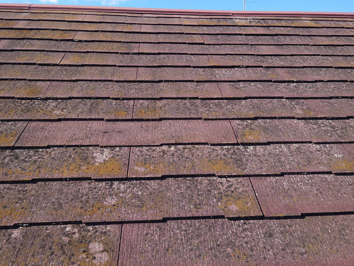 カビや苔が生えたスレート