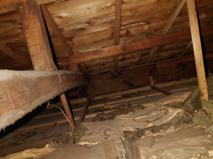 屋根から雨漏りが起きている状態