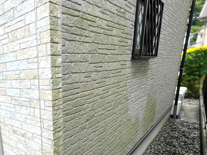 サイディングの苔の原因とは？外壁の劣化サインと対策を解説