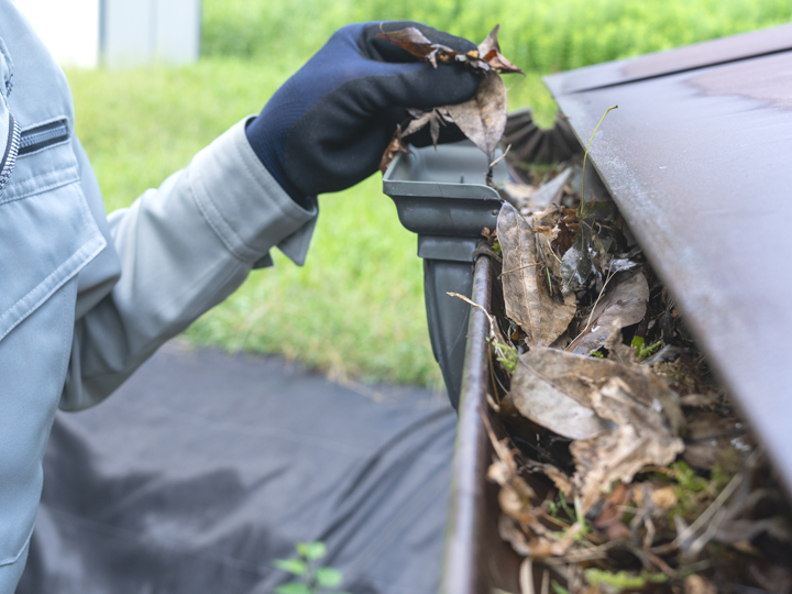 雨樋の落ち葉清掃の様子