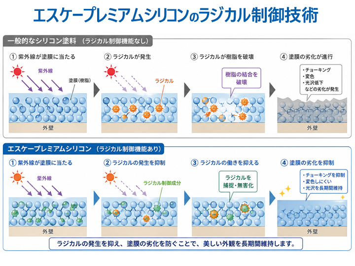 エスケープレミアムシリコンのラジカル制御についての図解