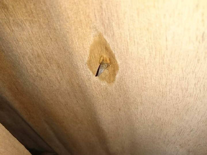 屋根裏の釘周りから雨水が染み込んでいる様子