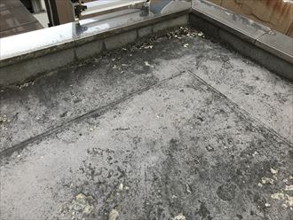 屋上防水の調査