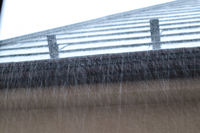 降雨の様子
