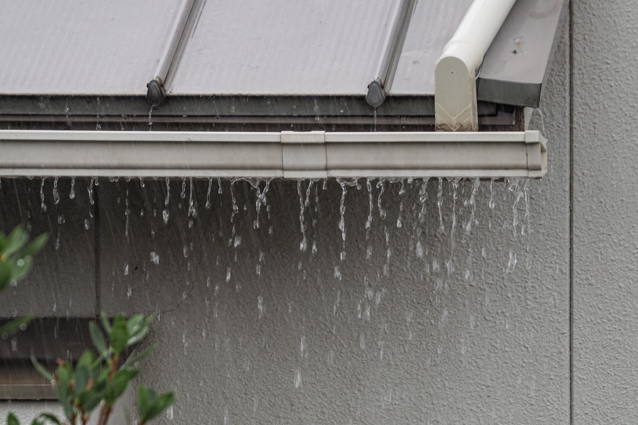 雨樋にゴミが詰まる!でも、高頻度での雨樋掃除は難しい…そんなときは落ち葉除けネットの設置がおすすめです! | 千葉の外壁塗装・屋根塗装 ...