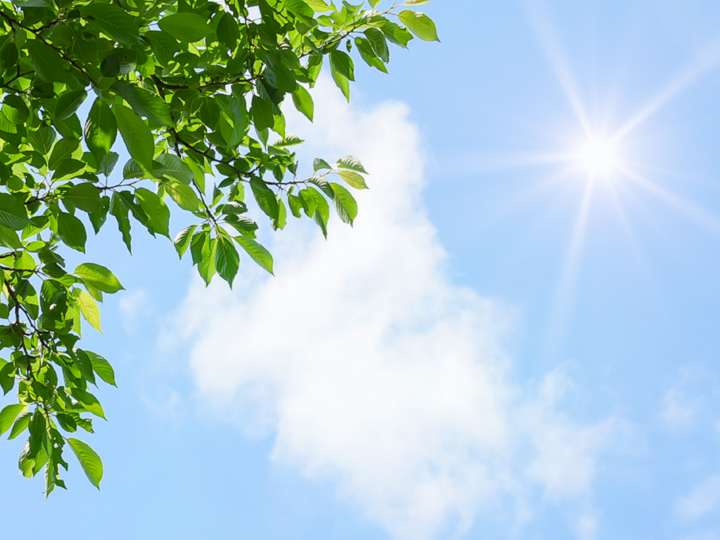 夏の外壁塗装