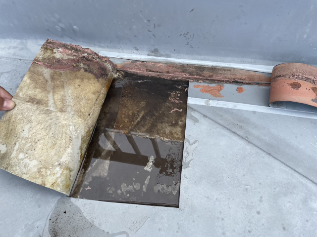 防水層の裏側に溜まった雨水