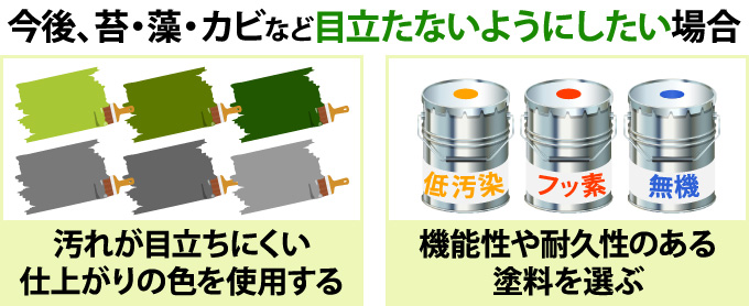 今後、苔・藻・カビなど目立たないようにしたい場合