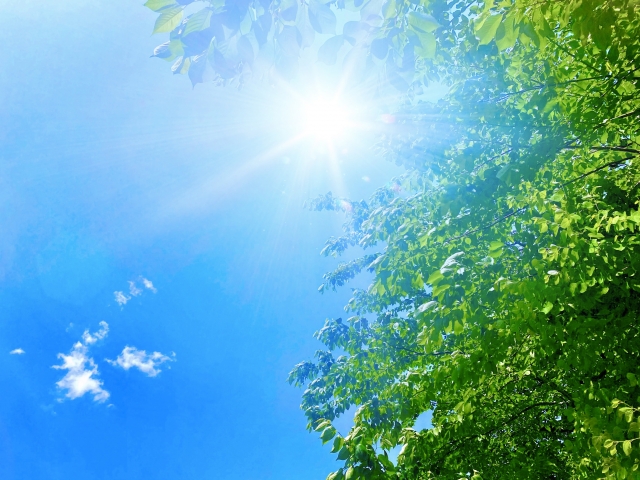 夏の強い紫外線のイメージ